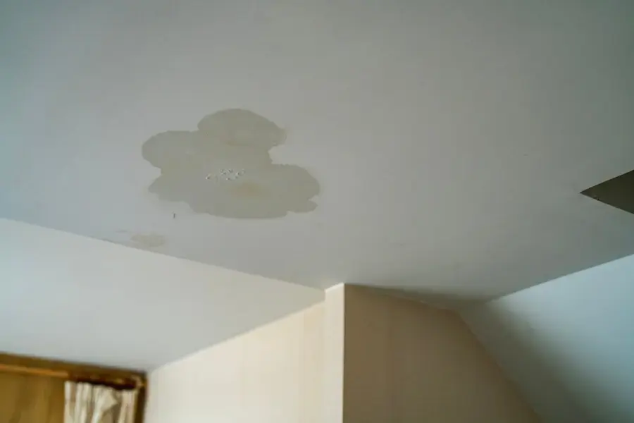 Ceiling Leak Water Damage in Elsmere, DE