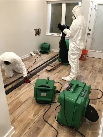 Sewage Backup Cleanup in Elsmere, DE